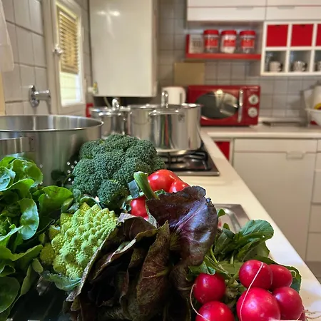 Appartement Alfani 75 - Il Cuore Di *
